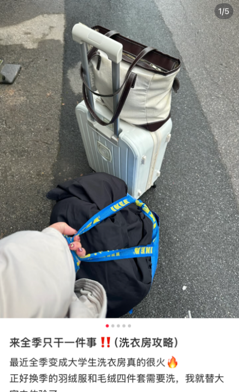意酒店的洗衣服务“几家欢喜几家愁”尊龙人生就是博“抢了”洗衣房的生(图2)