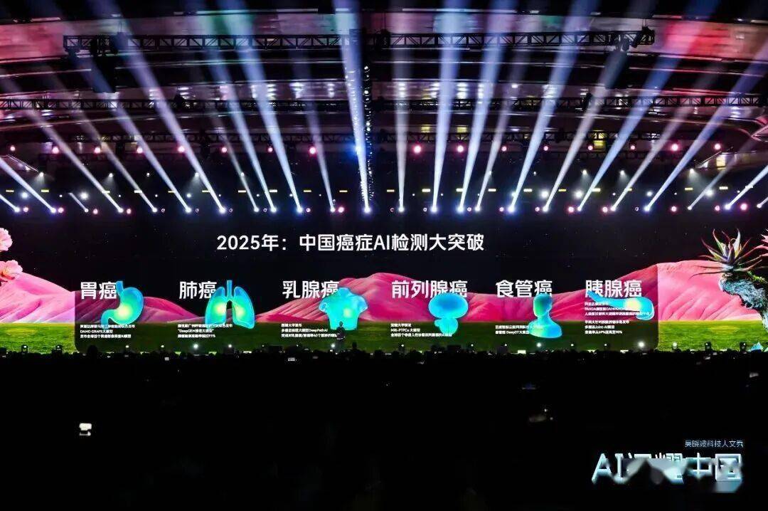 “AI闪耀中国”2025尊龙凯时app吴晓波：(图30)